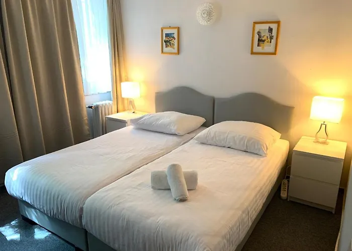 酒店 贝格酒店 科隆