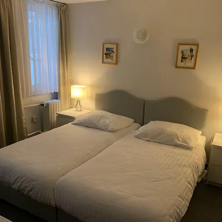 Berg Hotel Kolín nad Rýnem